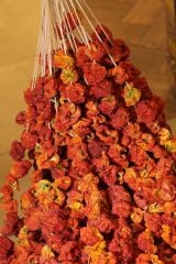 Kuruluk Biber (45-50 Adet )