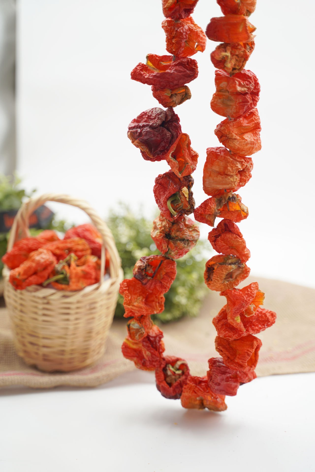 Kuruluk Biber (45-50 Adet )