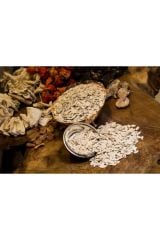 Kabak Çekirdeği Benekli