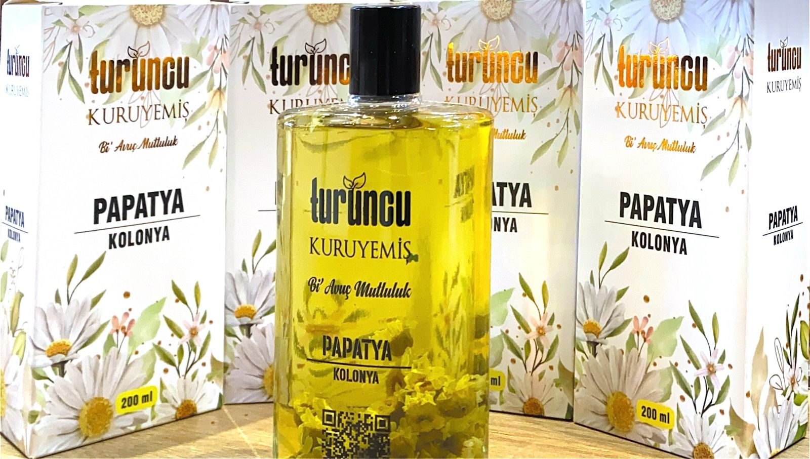 Turuncu Papatya Kolonyası