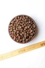 Tane Yenibahar 100 gr