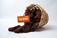 Gün Kurusu Kayısı