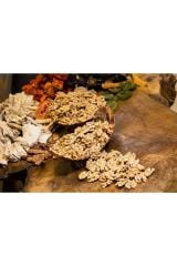 Lüx Kelebek Ceviz Içi