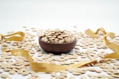 Turuncu Nevşehir Kabak Çekirdeği - 5 kg