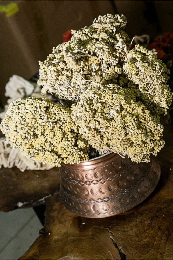 Civan Perçemi 200gr